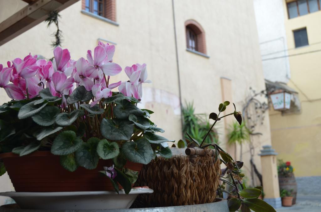 Agriturismo Del Pigato - Bio Vio อัลเบงกา ภายนอก รูปภาพ